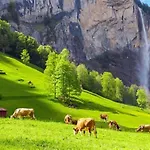 Komfortabel, Perfekte Lage, Neue Wohnung, Gratis P Lejlighed Lauterbrunnen