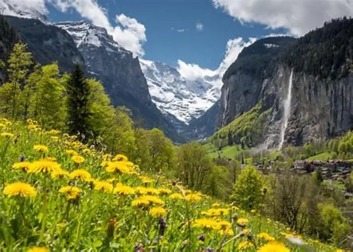 Komfortabel, Perfekte Lage, Neue Wohnung, Gratis P Lejlighed *