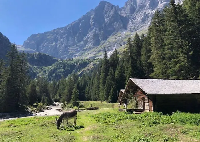 Komfortabel, Perfekte Lage, Neue Wohnung, Gratis P