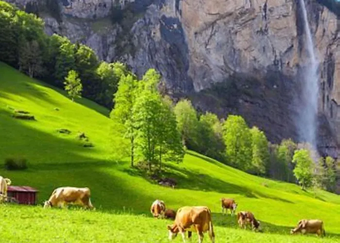 Komfortabel, Perfekte Lage, Neue Wohnung, Gratis P Lejlighed Lauterbrunnen