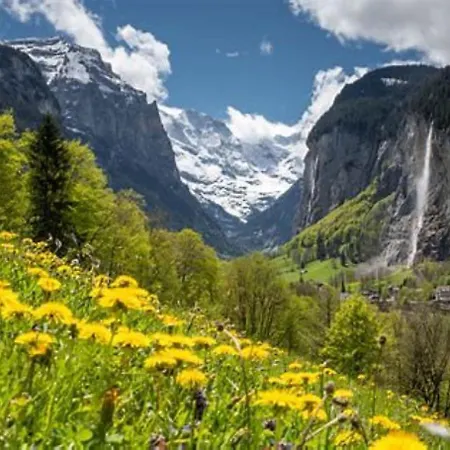 Komfortabel, Perfekte Lage, Neue Wohnung, Gratis P Apartment *