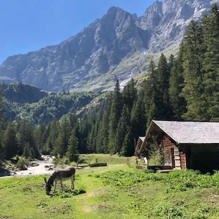 Komfortabel, Perfekte Lage, Neue Wohnung, Gratis P