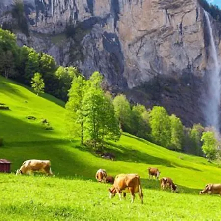 Komfortabel, Perfekte Lage, Neue Wohnung, Gratis P Apartment Lauterbrunnen